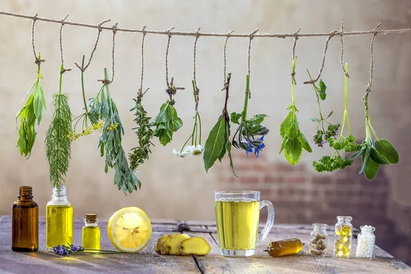 Border with Various fresh herbs and herbal tea on white fresh medicinal plants hanging on the top . Preparing medicinal plants for phytotherapy and health promotion, — Stock Photo, Image