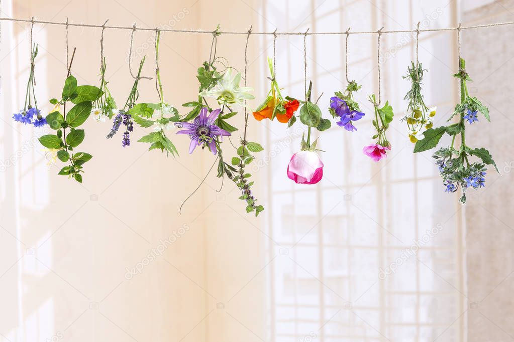 fresh flovouring herbs and eatable flowers hanging on a string, in front of a white backgroung