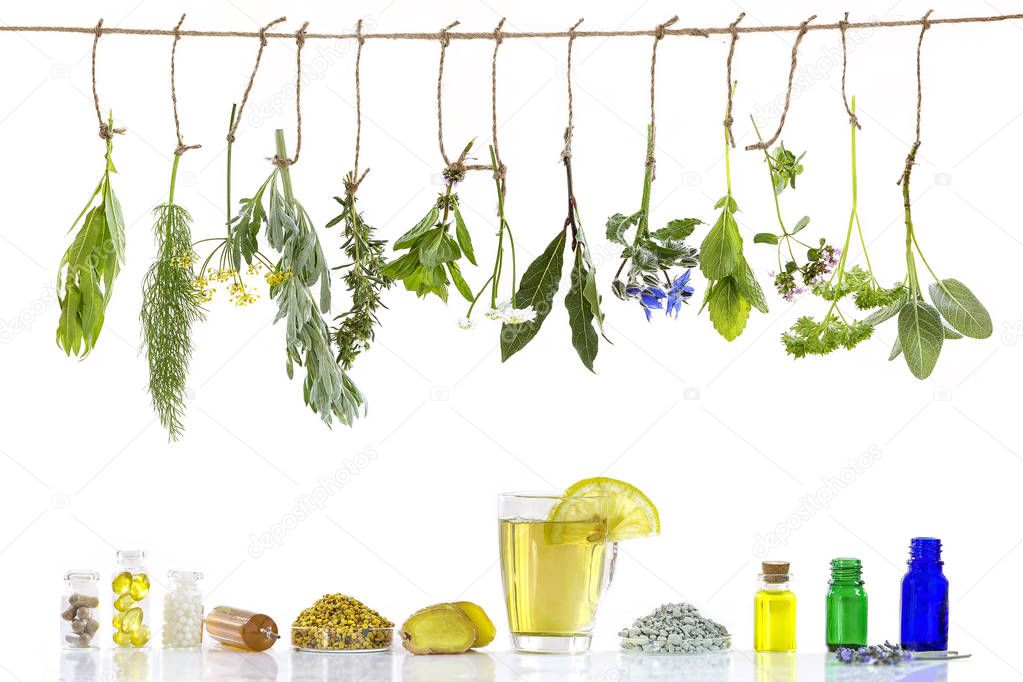 Various ingrdients . Preparing medicinal plants for phytotherapyand healthbeauty alternative medicine promotion on old stone wallwhite