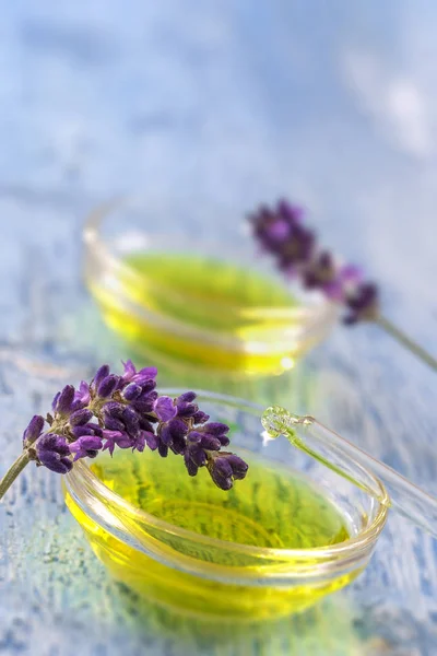 Transparent kupa med droppar lavendel väsentliga vätska i pipetten på trä bakgrund med läkemedel blommor — Stockfoto