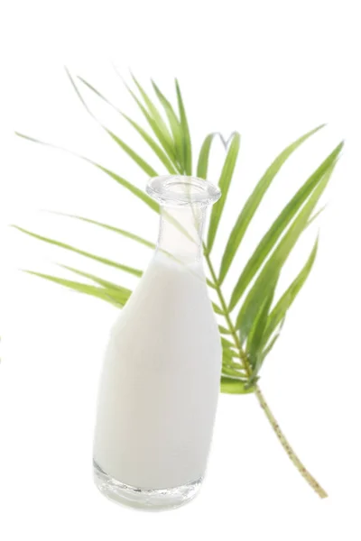 Milch in der Flasche und im Glas gegen grünes Palmenblatt — Stockfoto