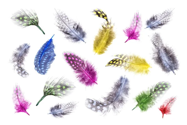 Красочный фон яркого ярко окрашенного мягкого пушистого птичьего перья с цветами радуги на заднем плане — стоковое фото