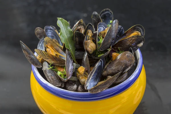 French blue mussel with herbs in a yellow. Seafood in dark background — Stock Photo, Image