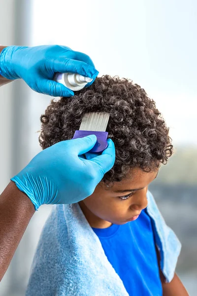 Looking for lice on childs head. — Stock Photo, Image