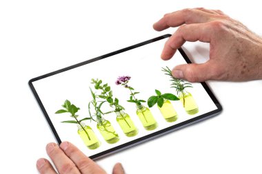 Alternatif Tıp Sağlığı Bitki Terapisi İnternet 'te arama