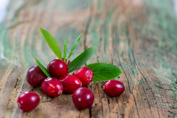 Fresh cranberries fruits on old green wooden Background and daylight — Stockfoto