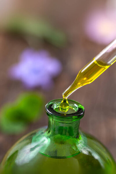 Alternative Medicine: Essential oil, on glass flask and dropper, with fresh herbs and flowers on wooden background