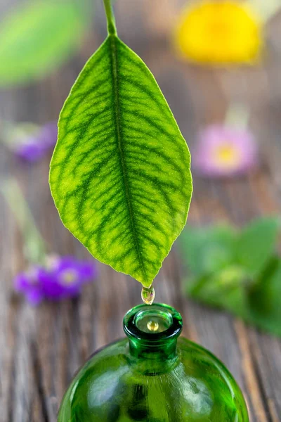 Bylinné, alternativní medicína, kapka vody kapající z listí do láhve na rozmazané dřevěné pozadí s květinami — Stock fotografie