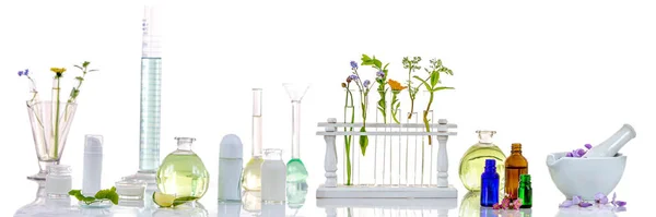 Bylinný medine Východiska: Panoramatický obraz laboratoře Čerstvé léčivé rostliny a květiny připravené k experimentu na bílém pozadí — Stock fotografie