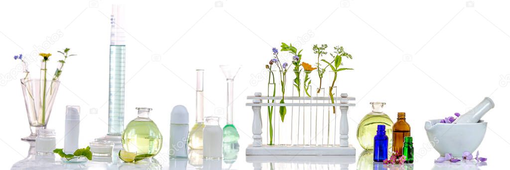 herbal medine Background : Panoramic image of a laboratory Fresh medicinal plant and Flowers ready for experiment on awhite background