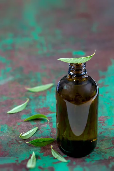 Limón Verbena aceite esencial y hojas en la madera en el tablero verde de lavado viejo. Vidrio, fresco —  Fotos de Stock