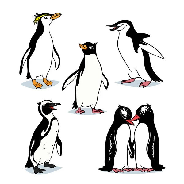 Cute cartoon penguins of different types. — Stock Vector