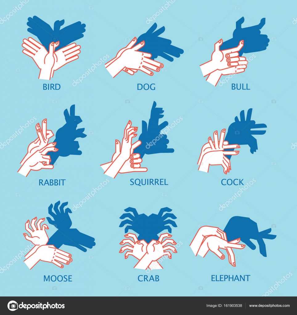 Shadow Theater. Hands gesture like flying bird. Vector illustration of