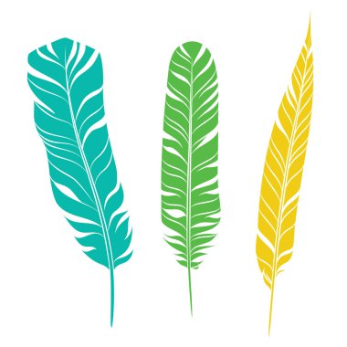 Zarif tüyler ayarlayın. Siluet üç farklı renk tüyleri.