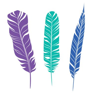 Zarif tüyler ayarlayın. Siluet üç farklı renk tüyleri.