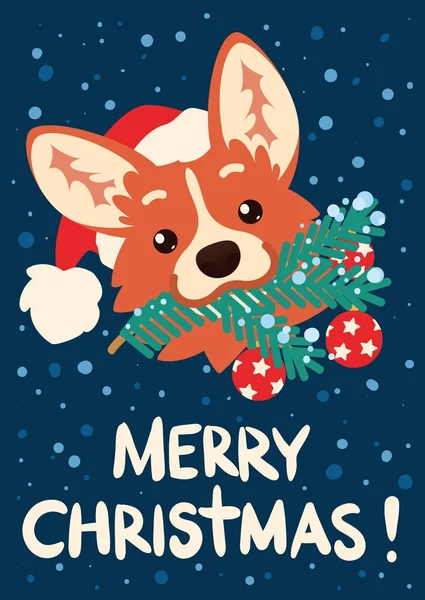 Mutlu Noeller ve mutlu yeni yıl. Noel Baba şapkası şirin Corgi köpek ile Noel ağacı dalı ağzına. Galce Corgi kafa düz çizgi film tarzı kar ile mavi arka plan üzerinde vektör Illustration. Kartı.