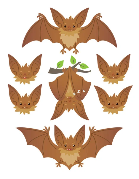 Bat in various poses. Flying, hanging. Brown bat-eared snouts with different emotions. Illustration of modern flat animal emoticons on white background. Cute mascot emoji set. Halloween smiley. Vector — Stock Vector