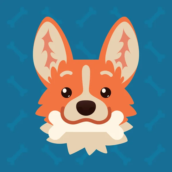 Corgi dog emotional head with bone in mouth. Vector illustration of cute dog in flat style shows playful emotion. Frisky emoji. Smiley icon. Chat, communication, sticker. Object on blue background. — Stock Vector