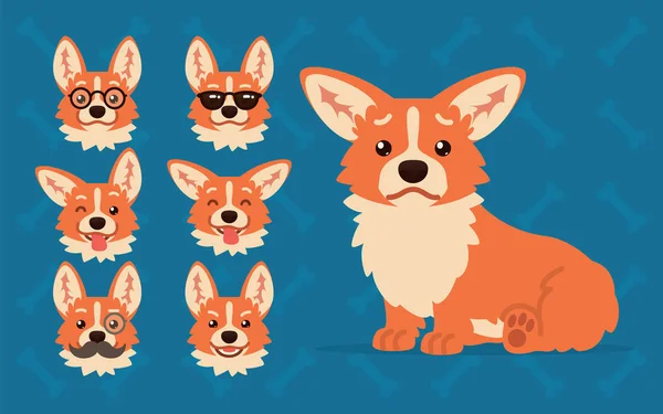 Süßer walisischer Corgi-Konstrukteur. Vektor-Illustration des sitzenden Corgi-Hundes und seines Kopfes zeigt verschiedene Emotionen im flachen Cartoon-Stil auf blauem Hintergrund. Smiley. Element für Ihr Design. Emoticon. — Stockvektor