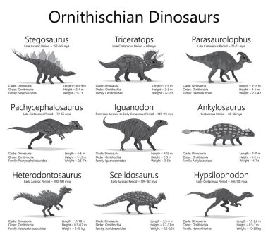 Ornithischian dinozorları. Beyaz arka planda izole edilmiş dinazorların tek renkli vektör çizimi. Boyut, ağırlık, sınıflandırma ve yaşam süresi bilgisine sahip kadim yaratıklar kümesi..