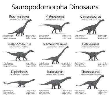 Sauropodomorpha dinosaurs. Monochrome vector illustration of dinosaurs isolated on white background. Set of ancient creatures with information of size, weigh, classification and period of living. clipart