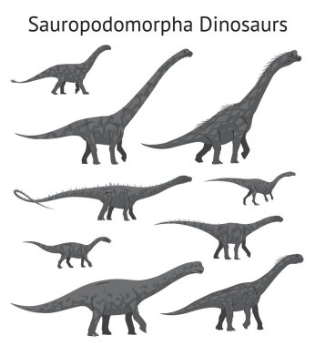 Set of sauropodomorpha dinosaurs. Monochrome vector illustration of dinosaurs isolated on white background. Side view. Sauropods. Proportional dimensions. Element for your desing, blog, journal. clipart