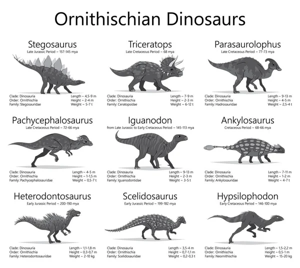 Ornithischische Dinosaurier. Monochrome Vektorillustration von Dinosauriern isoliert auf weißem Hintergrund. Set von antiken Geschöpfen mit Informationen über Größe, Gewicht, Klassifizierung und Lebenserwartung. — Stockvektor