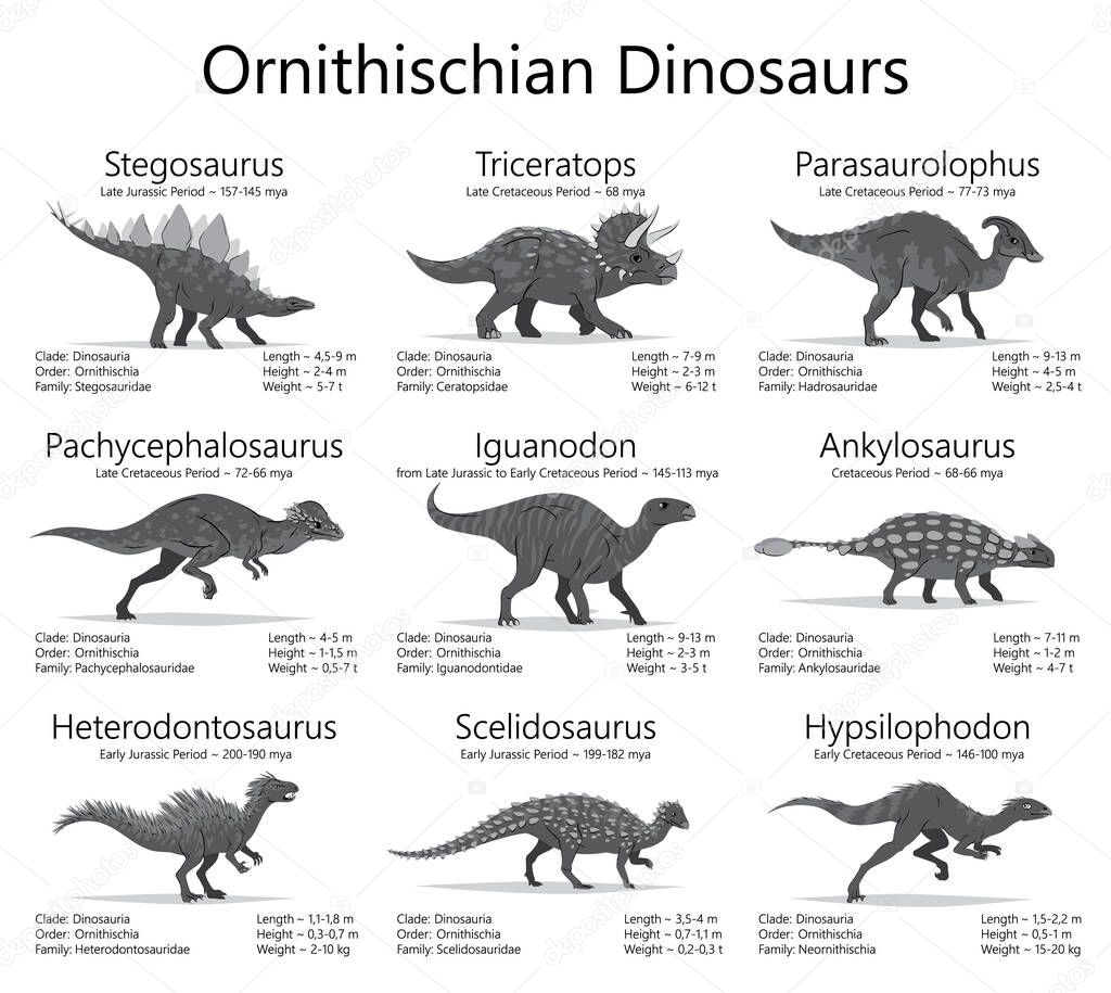 Ornithischian dinosaurs. Monochrome vector illustration of dinosaurs isolated on white background. Set of ancient creatures with information of size, weigh, classification and period of living.