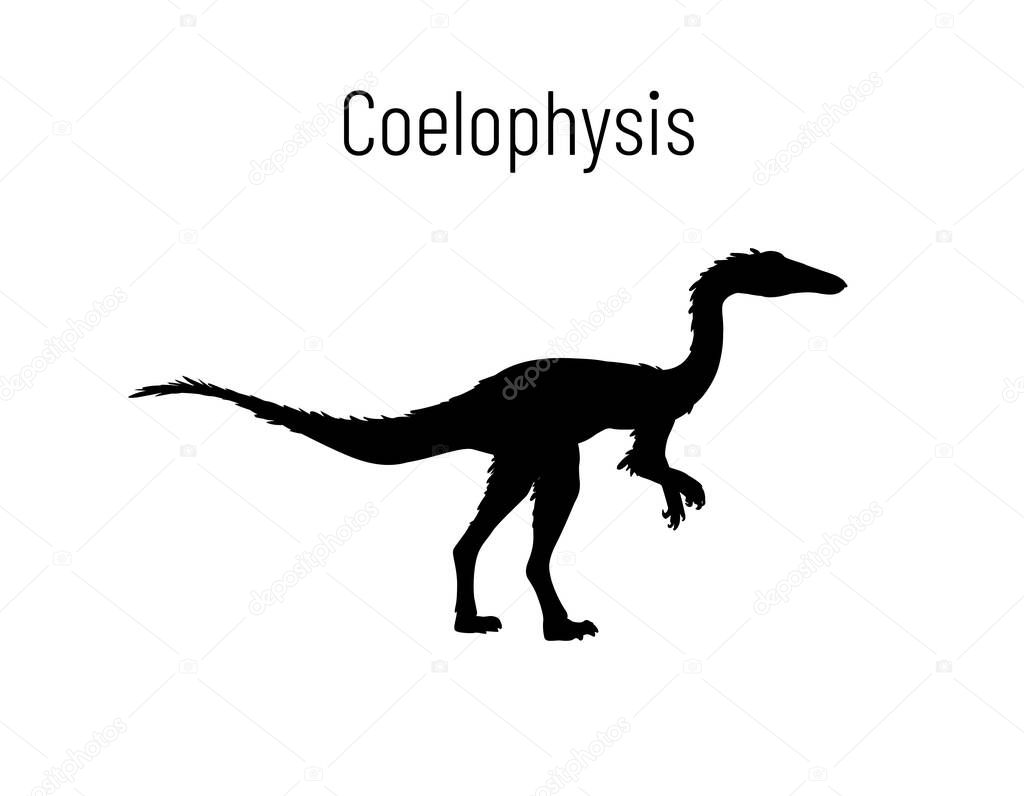 Coelophysiss. Theropoda dinosaur. Monochrome vector illustration of silhouette of prehistoric creature coelophysis isolated on white background. Stencil. Fossil dinosaur.