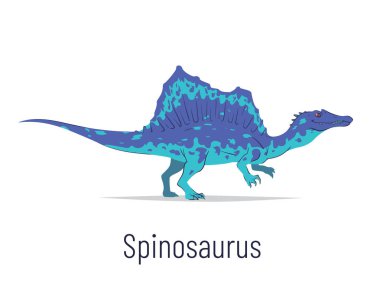 Spinosaurus. Theropoda dinozoru. Beyaz arka planda izole edilmiş, tarih öncesi Spinosaurus 'un renkli vektör çizimi. Yırtıcı fosil dinozor.