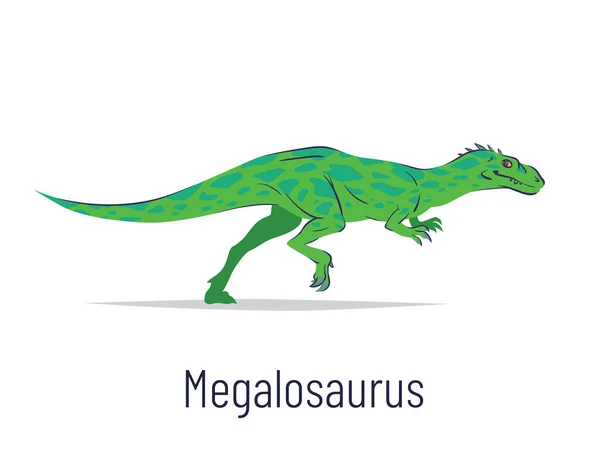 Megalosaurus. Theropoda dinosaurus. Barevná vektorová ilustrace pravěkého tvora megalosaura v ručně kresleném plochém stylu izolovaném na bílém pozadí. Dravý fosilní dinosaurus. — Stockový vektor