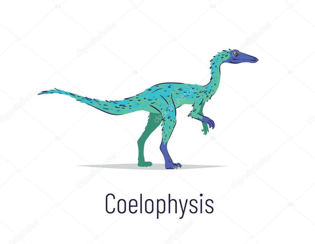 Coelophysis. Theropoda dinosaur. Colorful vector illustration of prehistoric creature coelophysis in hand drawn flat style isolated on white background. Predatory fossil dinosaur.
