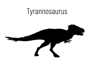 Tyrannosaurus. Theropoda dinozoru. Beyaz arka planda izole edilmiş tarih öncesi yaratığın siluetinin tek renkli vektör çizimi. Stencil. Fosil dinozor. T-Rex..