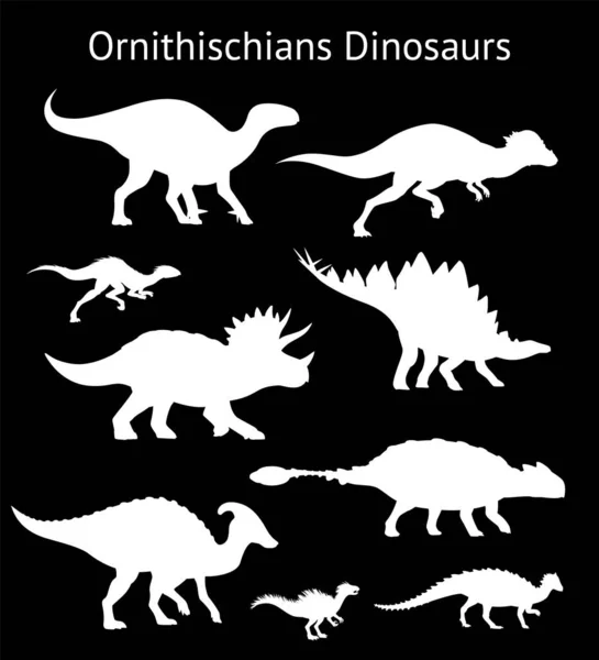 Silhuetter av ornithischian dinosaurier. Färdiga. Sidovy. Monokrom vektor illustration av vita stenciler av dinosaurier isolerade på svart bakgrund. Ornithischia. Proportionella mått. — Stock vektor