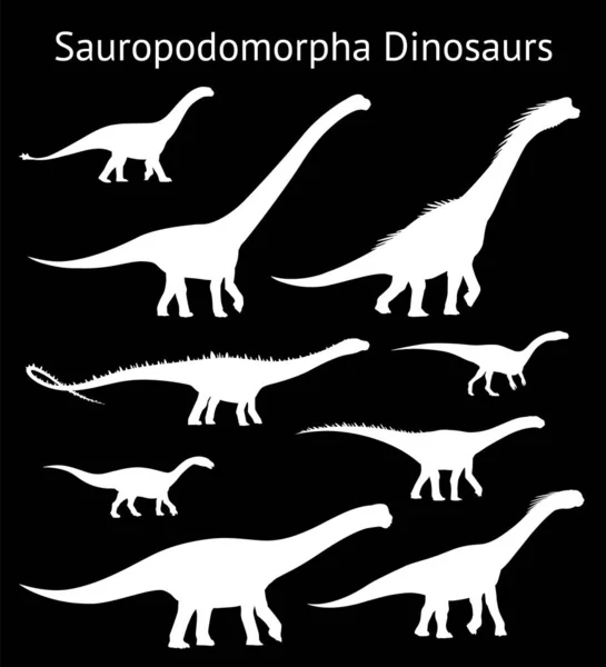 Silhuetter av sauropodomorpha dinosaurier. Färdiga. Sidovy. Monokrom vektor illustration av vita silhuetter av dinosaurier isolerade på svart bakgrund. Det är Sauropoda. Proportionella mått. — Stock vektor