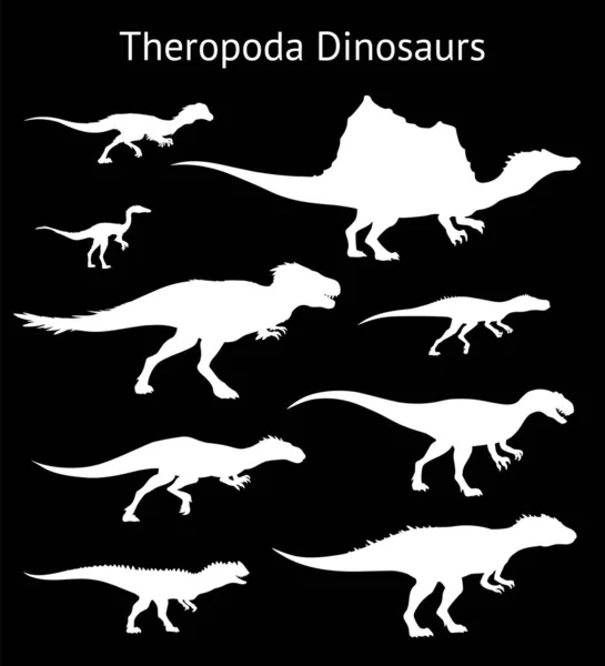 Silhuetter av teropoda dinosaurier. Färdiga. Sidovy. Monokrom vektor illustration av vita silhuetter av dinosaurier isolerade på svart bakgrund. Teropoder. Proportionella mått. — Stock vektor