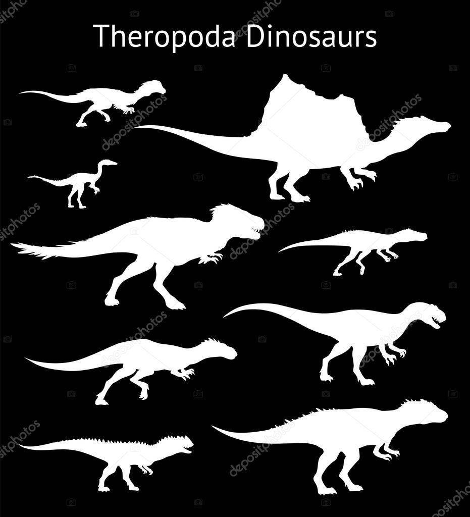 Silhouettes of theropoda dinosaurs. Set. Side view. Monochrome vector illustration of white silhouettes of dinosaurs isolated on black background. Theropods. Proportional dimensions.