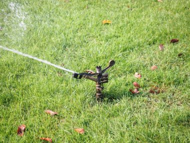 bahçede çim sulama yağmurlama