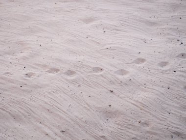 bir foorprint bir hayvan ile kum doku.