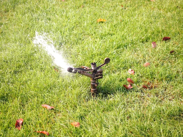 Sprinkler drenken van het gras in de tuin Rechtenvrije Stockfoto's