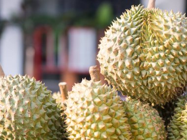 Durain, meyve, pazarda, Tayland Kralı