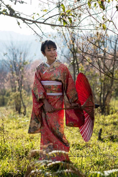 Asyalı kadınlar geleneksel Japon giyiyor. — Stok fotoğraf