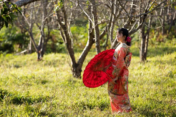 日本の伝統を身に着けているアジア女性. — ストック写真