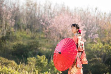 Asyalı kadınlar geleneksel Japon giyiyor.