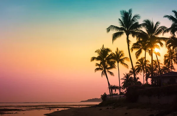 Πολύχρωμο Ηλιοβασίλεμα Τροπικό Νησί — Φωτογραφία Αρχείου