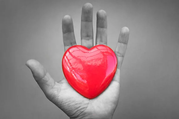 Isolated hand holding heart. Love concept. — Stock Photo, Image