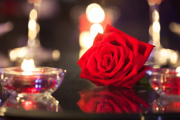 Одна Роза Романтической Обстановке День Святого Валентина — стоковое фото