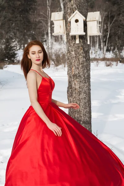 Uma Menina Bonita Vestido Vermelho Longo Está Gelo Baikal Congelado — Fotografia de Stock