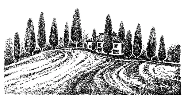 Paysage toscan. Illustration graphique dessinée à la main. Graphiques vectoriels . — Image vectorielle