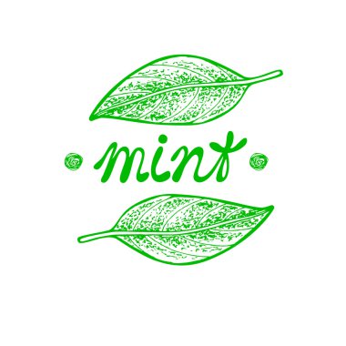 Nane. Grafik illüstrasyon vektör el çekilmiş.